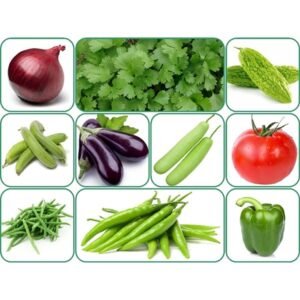 10 Variety Of Vegetable Seeds Combo Pack With Instruction Manual.