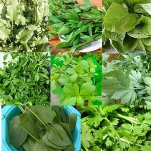 8 Native Green Leafy Vegetable Seeds for Home Gardening with More than 70% Germination (4800 seeds)
