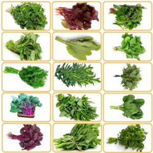 Green Leafy Vegetable seeds 15 Varieties 150 g Each Packet 10g  15k+ Seeds Best Germination
