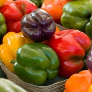 Imported Mix Colour Capsicum Bell Pepper Vegetables Seeds For Gardening (Pack 30 to 40 Seeds)
