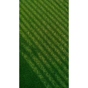 Imported lawn grass seeds for Home and Gardening (PACK OF 5 GRAM)