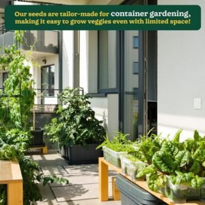 Indian Vegetable Seeds Bank For Home Garden 50 Varieties – 2255 Seeds