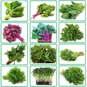 Organic Vegetable Seeds, Leafy Vegetable Seeds for Home Gardening, Fresh Indian Vegetable Seeds with 12 Varieties 120 Grams
