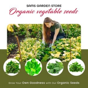Organic Vegetable Seeds, Leafy Vegetable Seeds for Home Gardening, Fresh Indian Vegetable Seeds with 12 Varieties 120 Grams
