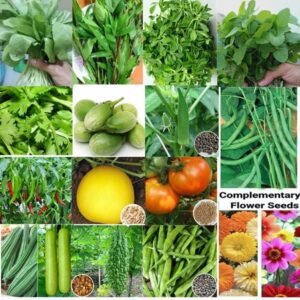 Rainy Season Vegetable Seeds Kit 14 Easy to High Yield, Native & Non GMO Seeds