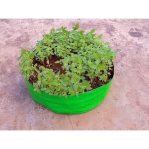 Terrace Gardening Grow Bags for Leafy Vegetables – 15″X06″ (Green, Pack of 5)