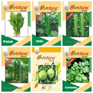Vegetable Seeds pack of 6 (Spinach, Okra, Bottle Gourd, Sponge Gourd, Round Gourd, Coriander)
