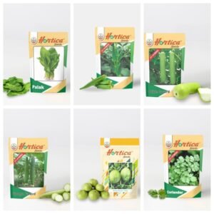 Vegetable Seeds pack of 6 (Spinach, Okra, Bottle Gourd, Sponge Gourd, Round Gourd, Coriander)