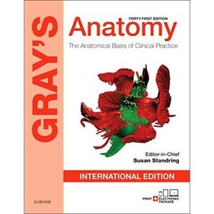 Gray's Anatomy: The Anatomical Basis of Clinical Practice, International Edition Paperback  41st Edition