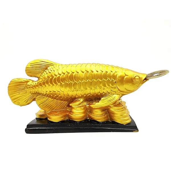Feng Shui Golden Arowana Fish Strong Wealth Symbol & Protects Mishaps1 PovTaka