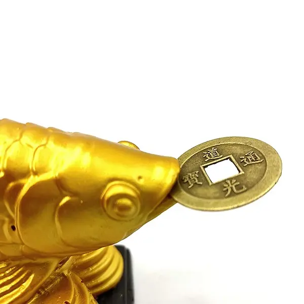 Feng Shui Golden Arowana Fish Strong Wealth Symbol & Protects Mishaps2 PovTaka