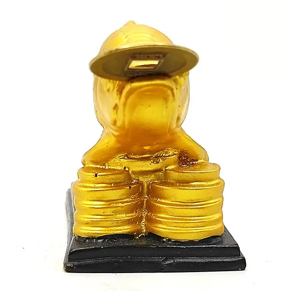 Feng Shui Golden Arowana Fish Strong Wealth Symbol & Protects Mishaps4 PovTaka