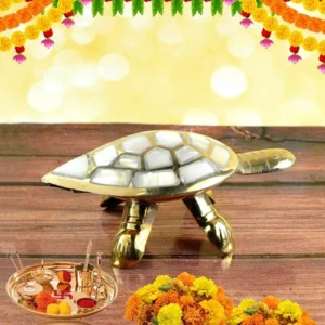 Feng Shui Wish Fulfilling Brass Tortoise/Turtle with Secret Wish Compartment