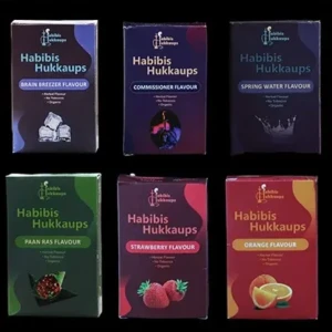 Herbal Hookah Flavour Combo of 6 Brain Breezer, Commissioner, Spring Water, pan, Strawberry, Orange with Filter Pipe - Premium and Long Lasting Flavour for Hookah1