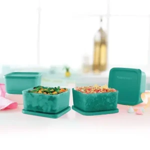 Tupperware Plastic Containers – 650ml, 4 Pc, Green