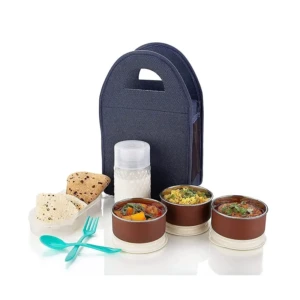 Stainless Steel Lunch Box - Tiffin Box with Bag for Office use, Student, Women, Men, Girls (Multi Color)1